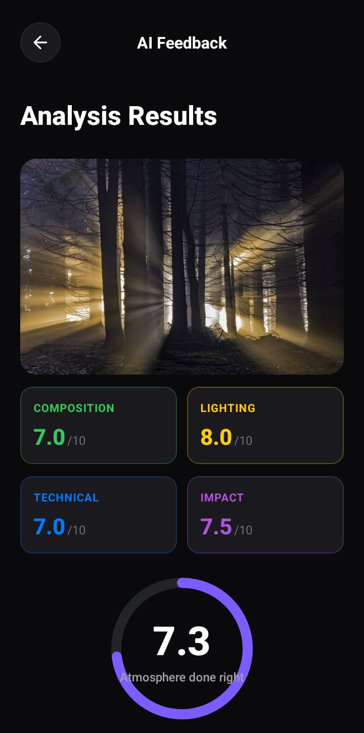 PhotoGuide AI — AI Analysis Results screen with overall score and composition, lighting, technical and impact breakdown