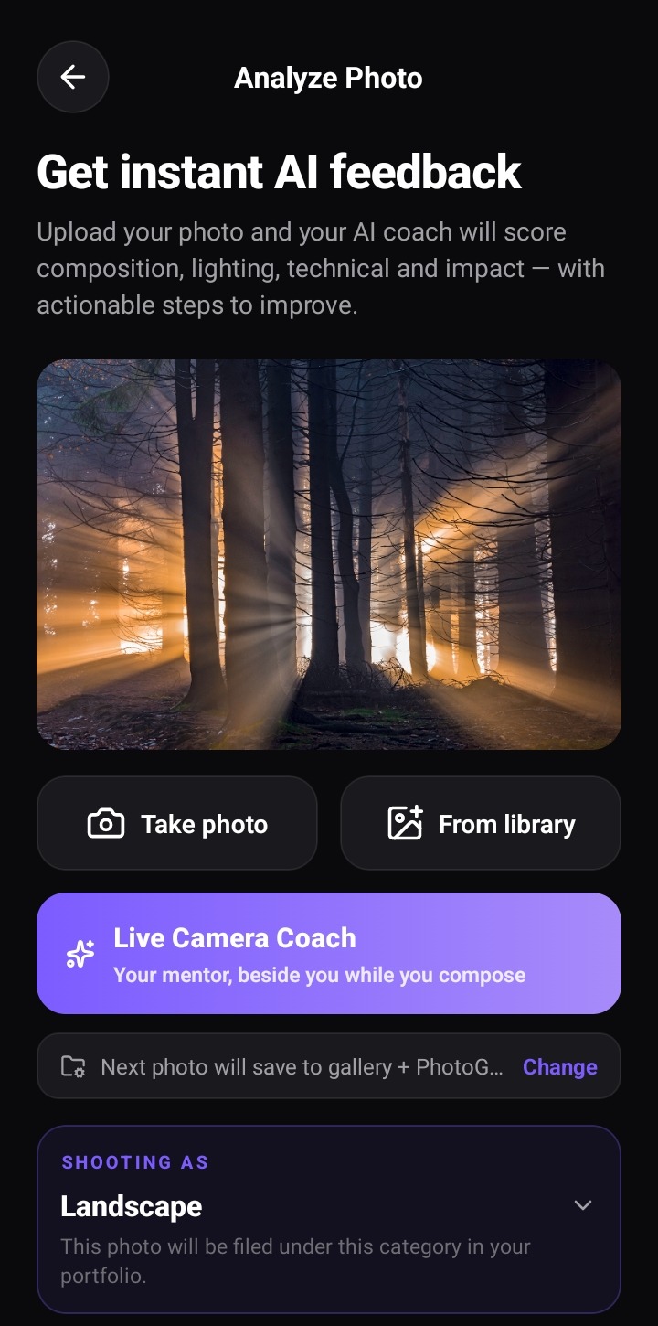 PhotoGuide AI — Analyze Photo screen